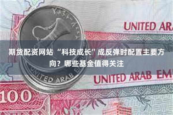期货配资网站 “科技成长”成反弹时配置主要方向？哪些基金值得关注