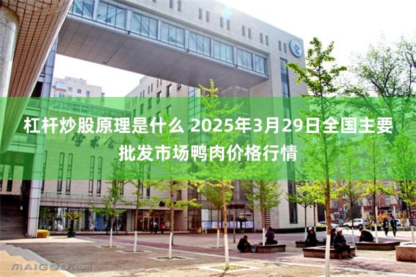 杠杆炒股原理是什么 2025年3月29日全国主要批发市场鸭肉价格行情