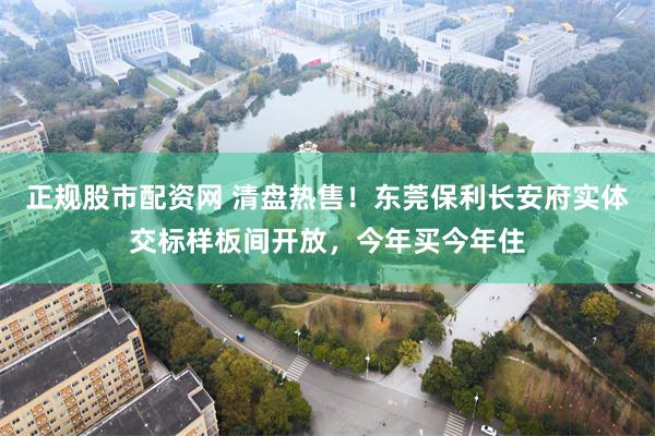 正规股市配资网 清盘热售！东莞保利长安府实体交标样板间开放，今年买今年住