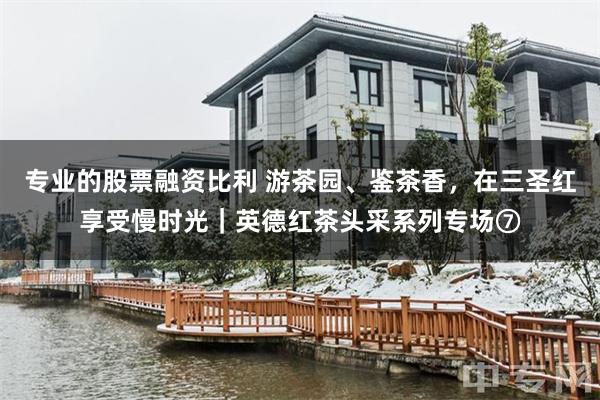 专业的股票融资比利 游茶园、鉴茶香，在三圣红享受慢时光｜英德红茶头采系列专场⑦