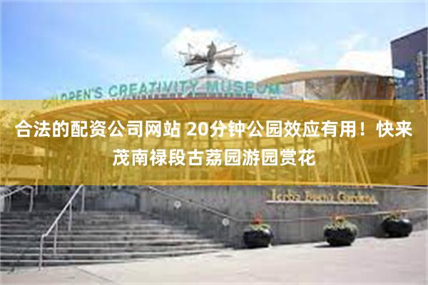 合法的配资公司网站 20分钟公园效应有用！快来茂南禄段古荔园游园赏花