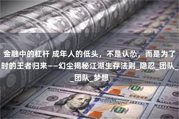 金融中的杠杆 成年人的低头，不是认怂，而是为了抬头时的王者归来——幻尘揭秘江湖生存法则_隐忍_团队_梦想
