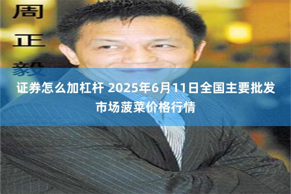 证券怎么加杠杆 2025年6月11日全国主要批发市场菠菜价格行情
