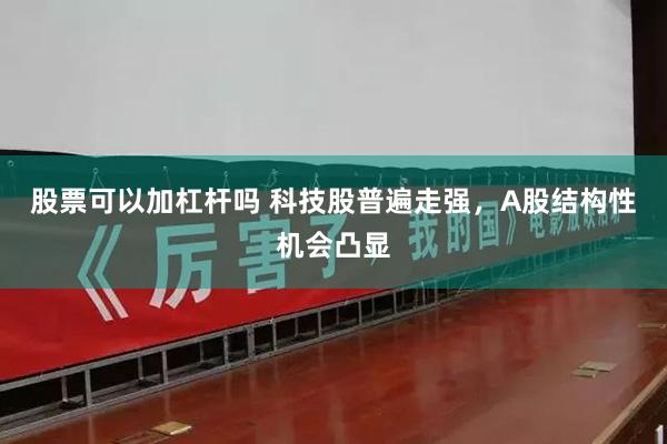 股票可以加杠杆吗 科技股普遍走强，A股结构性机会凸显
