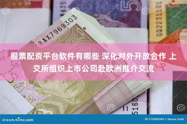 股票配资平台软件有哪些 深化对外开放合作 上交所组织上市公司赴欧洲推介交流