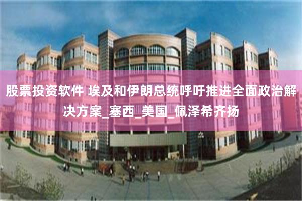 股票投资软件 埃及和伊朗总统呼吁推进全面政治解决方案_塞西_美国_佩泽希齐扬