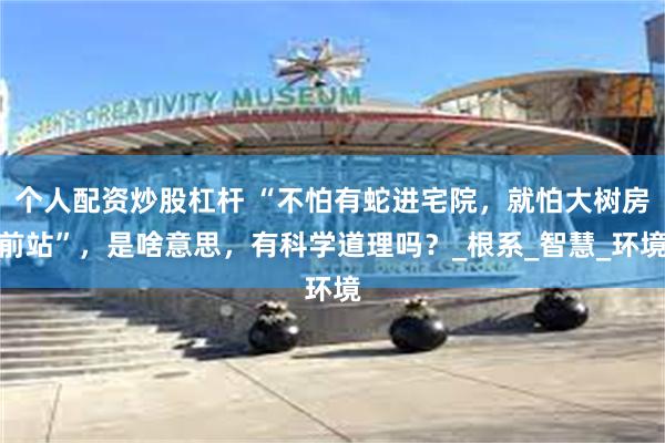 个人配资炒股杠杆 “不怕有蛇进宅院，就怕大树房前站”，是啥意思，有科学道理吗？_根系_智慧_环境
