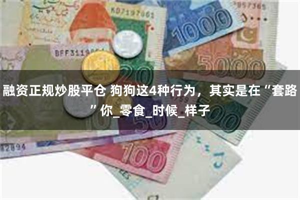 融资正规炒股平仓 狗狗这4种行为，其实是在“套路”你_零食_时候_样子