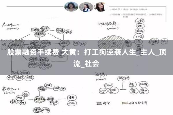 股票融资手续费 大黄：打工狗逆袭人生_主人_顶流_社会