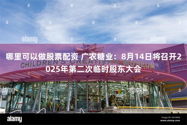 哪里可以做股票配资 广农糖业：8月14日将召开2025年第二次临时股东大会