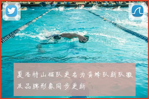 夏洛特山猫队更名为黄蜂队新队徽及品牌形象同步更新
