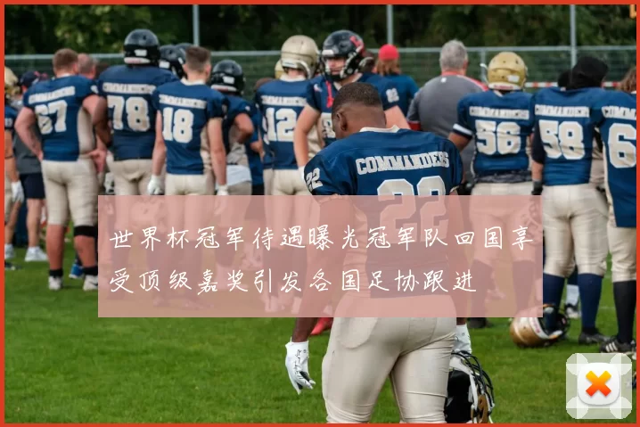 世界杯冠军待遇曝光冠军队回国享受顶级嘉奖引发各国足协跟进