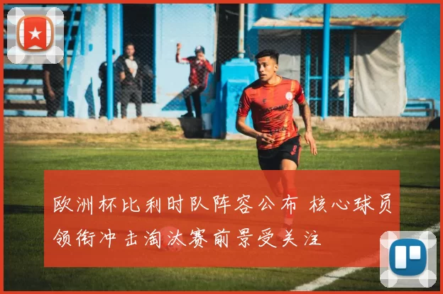 欧洲杯比利时队阵容公布 核心球员领衔冲击淘汰赛前景受关注
