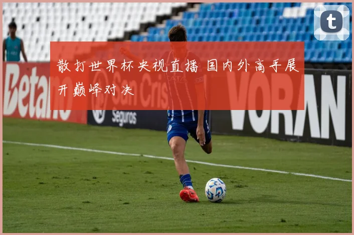 散打世界杯央视直播 国内外高手展开巅峰对决