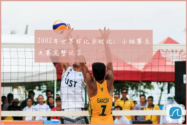 2002年世界杯比分对比：小组赛至决赛完整记录