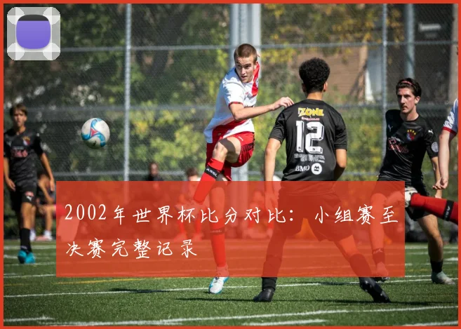 2002年世界杯比分对比：小组赛至决赛完整记录