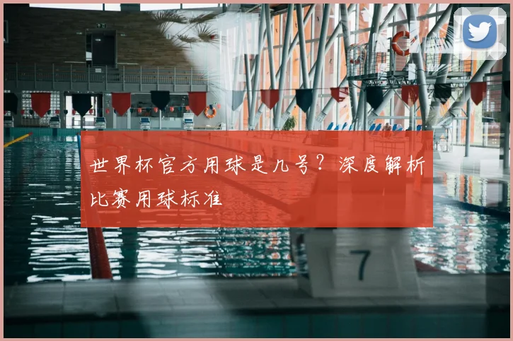 世界杯官方用球是几号？深度解析比赛用球标准