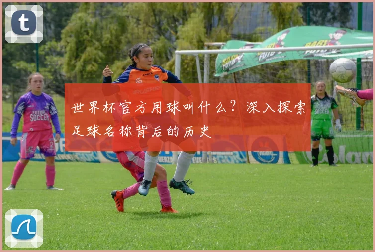 世界杯官方用球叫什么?深入探索足球名称背后的历史