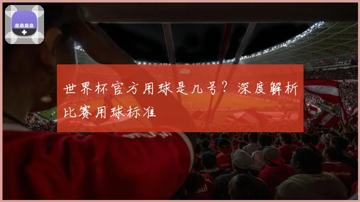 世界杯官方用球是几号？深度解析比赛用球标准