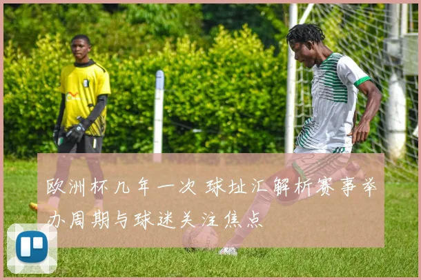 欧洲杯几年一次 球址汇解析赛事举办周期与球迷关注焦点
