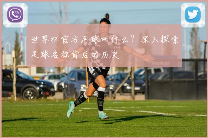 世界杯官方用球叫什么?深入探索足球名称背后的历史