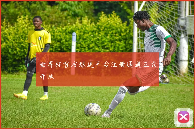世界杯官方球迷平台注册通道正式开放
